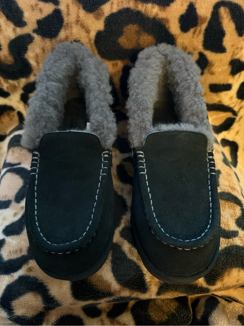 UGG Ansley Parc Suede Platform Moccasin